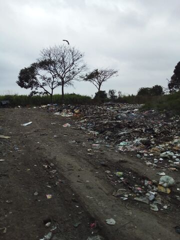 2 Abril 2025