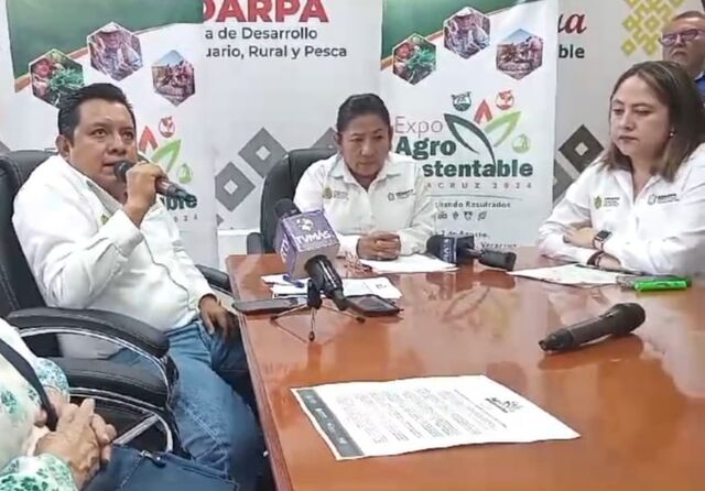17 julio 2024