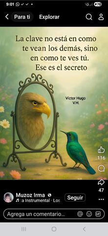 Sin Nombre