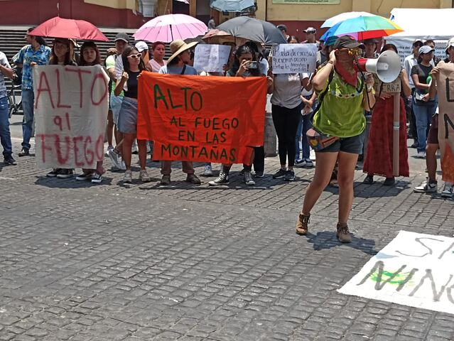 5 de junio 2024