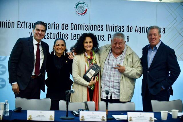 17 Junio 2026
