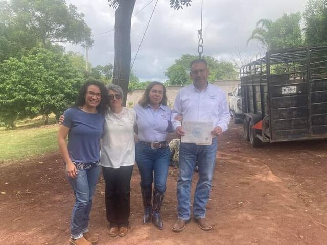 28 agosto 2024