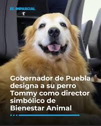 Sin Nombre
