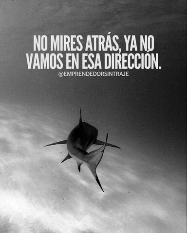 Sin Nombre