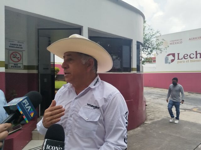 12 de mayo 2026