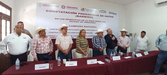 10 julio 2025