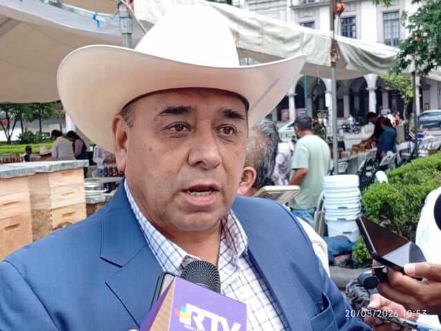 20 mayo 2026