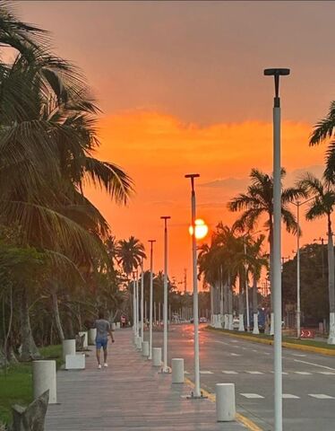 Sin Nombre