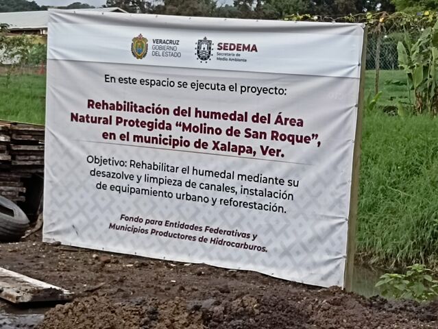 11 julio 2024