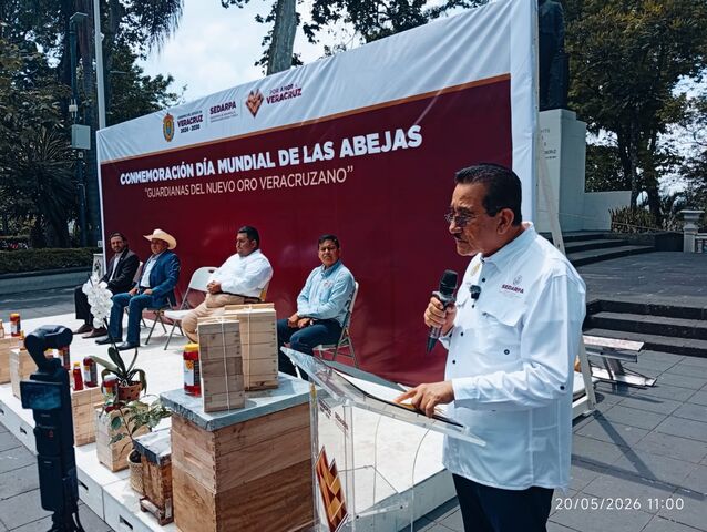 20 mayo 2026