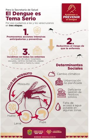 30 junio 2025