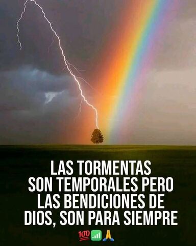 Sin Nombre
