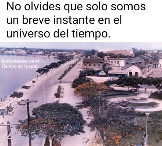 Sin Nombre