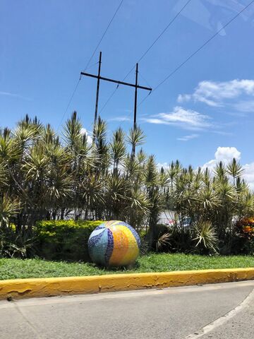 Sin Nombre