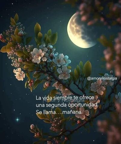 Sin Nombre