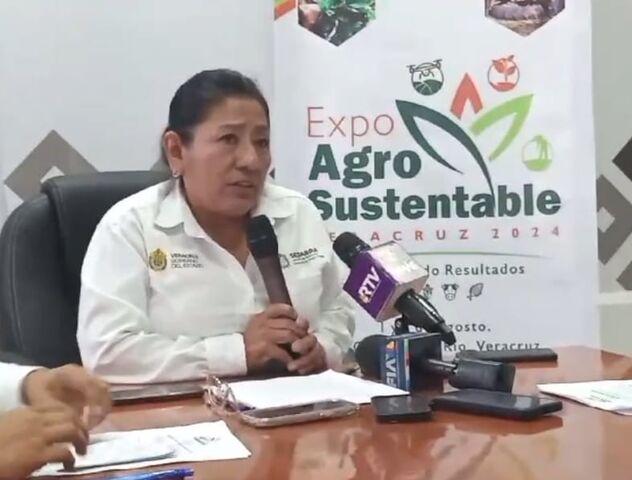 17 julio 2024