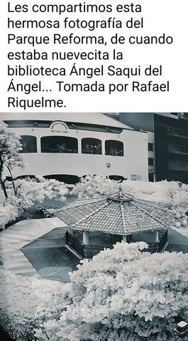 Sin Nombre
