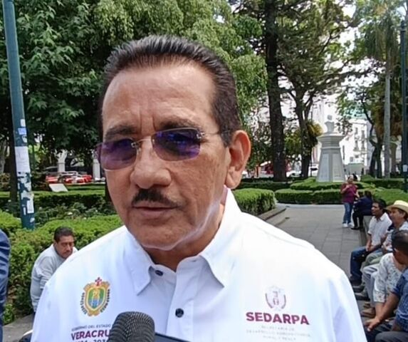 20 mayo 2026