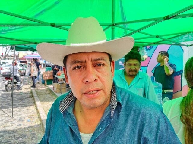 5 agosto 2026