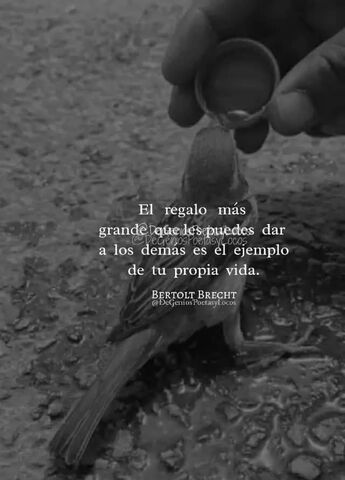 Sin Nombre