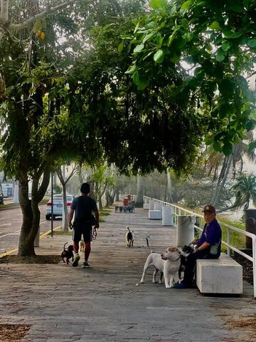 Sin Nombre