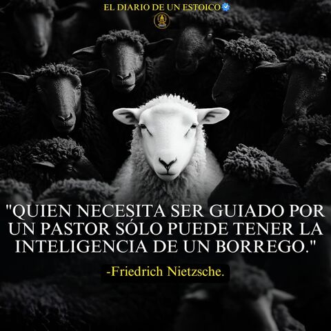 Sin Nombre